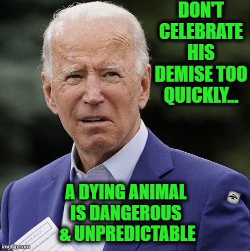 DON'T CELEBRATE HIS DEMISE TOO QUICKLY... A DYING ANIMAL 
IS DANGEROUS 
& UNPREDICTABLE | made w/ Imgflip meme maker