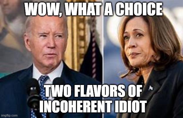 WOW, WHAT A CHOICE; TWO FLAVORS OF
INCOHERENT IDIOT | made w/ Imgflip meme maker