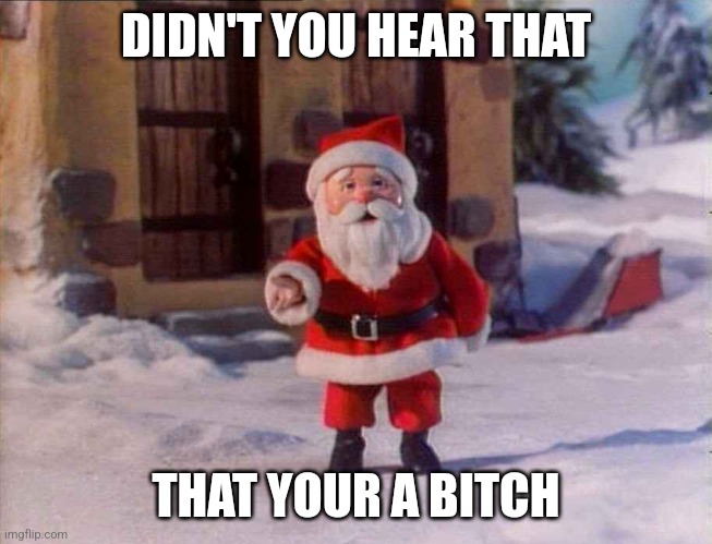 Didn't you hear that Santa | DIDN'T YOU HEAR THAT; THAT YOUR A BITCH | image tagged in christmas,4th of july | made w/ Imgflip meme maker