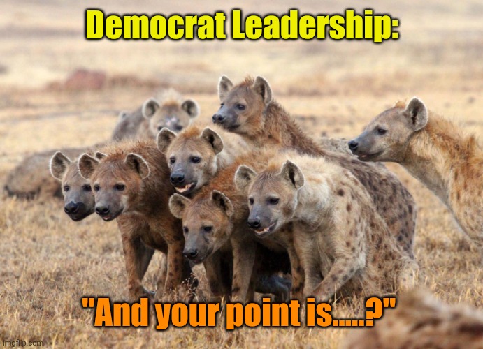 Hungry Hyenas | Democrat Leadership: "And your point is.....?" | image tagged in hungry hyenas | made w/ Imgflip meme maker