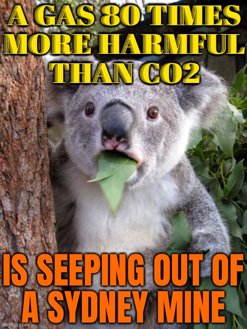 A gas '80 times more harmful than CO2' is seeping out of a Sydney mine | A GAS 80 TIMES
MORE HARMFUL
THAN CO2; IS SEEPING OUT OF
A SYDNEY MINE | image tagged in shocked koala,meanwhile in australia,australia,environmental,carbon,coal | made w/ Imgflip meme maker