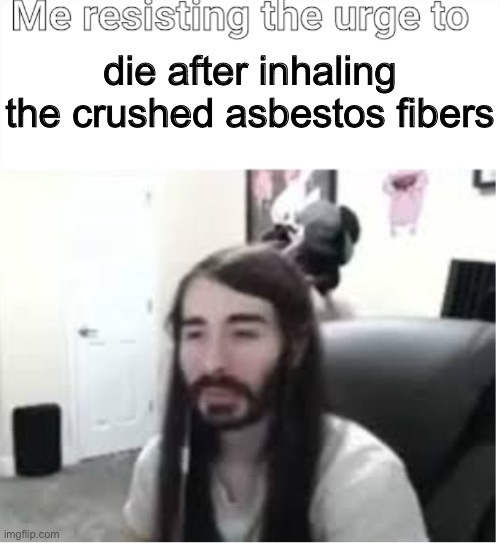 Was too late to remove it.. | die after inhaling the crushed asbestos fibers | image tagged in me resisting the urge to x | made w/ Imgflip meme maker