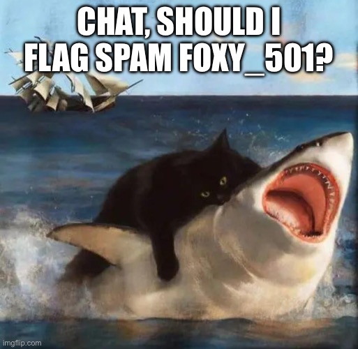 El Gato and shark | CHAT, SHOULD I FLAG SPAM FOXY_501? | made w/ Imgflip meme maker