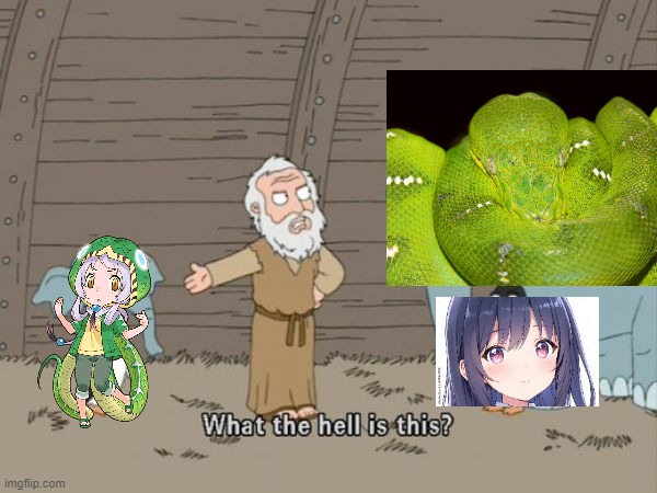 Emerald Tree Boa In A Crappy Nutshell | image tagged in what the hell is this,kemono friends,funny memes,family guy,memes,funny | made w/ Imgflip meme maker