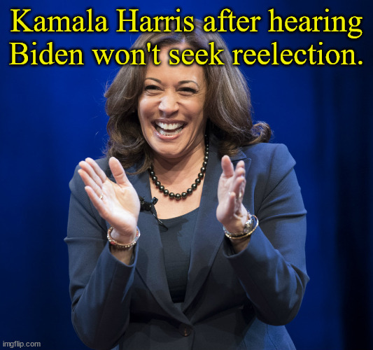 What Makes a Vice President Happy? | Kamala Harris after hearing Biden won't seek reelection. | image tagged in kamala harris laughing,biden,drop out,2024,happy,unelected | made w/ Imgflip meme maker