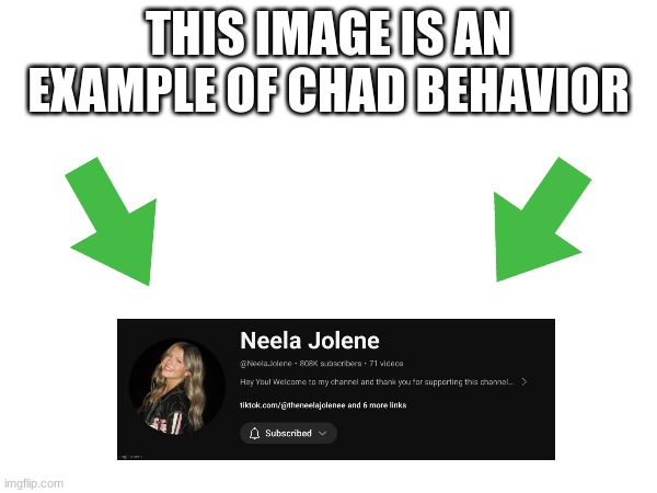 image tagged in this image is an example of chad behavior | made w/ Imgflip meme maker