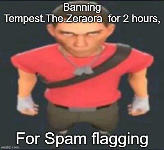 bro | Banning Tempest.The.Zeraora  for 2 hours, For Spam flagging | image tagged in bro | made w/ Imgflip meme maker