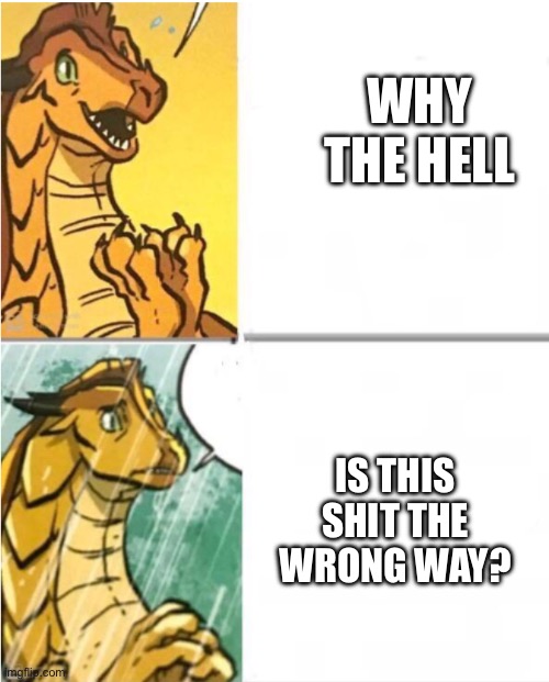 Drake temp? Nuh uh. Get reversed Bozo | WHY THE HELL; IS THIS SHIT THE WRONG WAY? | image tagged in sunny drake hotline | made w/ Imgflip meme maker