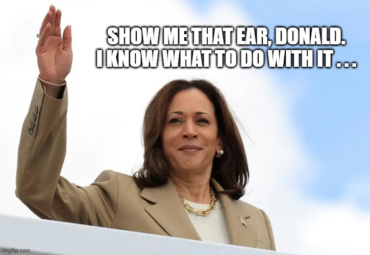 Kamala and the ear | SHOW ME THAT EAR, DONALD. I KNOW WHAT TO DO WITH IT . . . | image tagged in kamala harris,donald trump,presidential campain,wounded ear | made w/ Imgflip meme maker