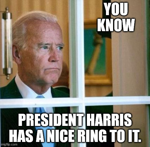 Sad Joe Biden | YOU KNOW; PRESIDENT HARRIS HAS A NICE RING TO IT. | image tagged in sad joe biden | made w/ Imgflip meme maker