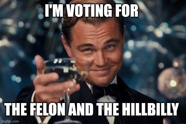 Leonardo Dicaprio Cheers Meme | I'M VOTING FOR; THE FELON AND THE HILLBILLY | image tagged in memes,leonardo dicaprio cheers | made w/ Imgflip meme maker