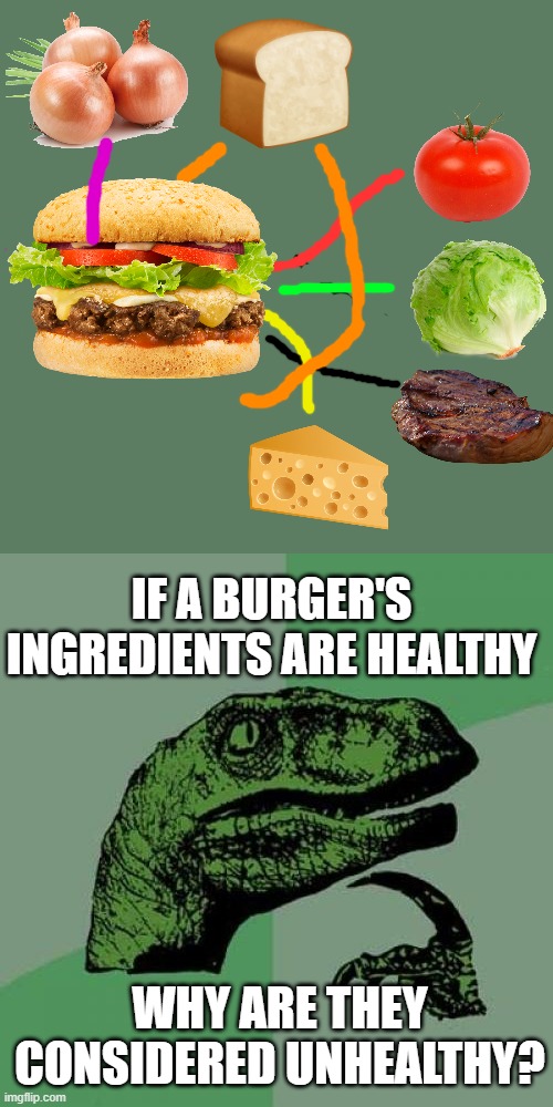 hmmmmmmmmmm... | IF A BURGER'S INGREDIENTS ARE HEALTHY; WHY ARE THEY CONSIDERED UNHEALTHY? | image tagged in memes,philosoraptor,hmm,hmmmm,hmmmmmmm,hamburgers | made w/ Imgflip meme maker