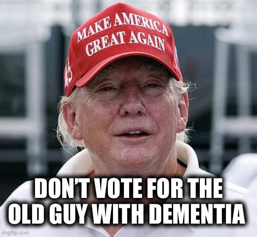 DON’T VOTE FOR THE OLD GUY WITH DEMENTIA | image tagged in memes | made w/ Imgflip meme maker