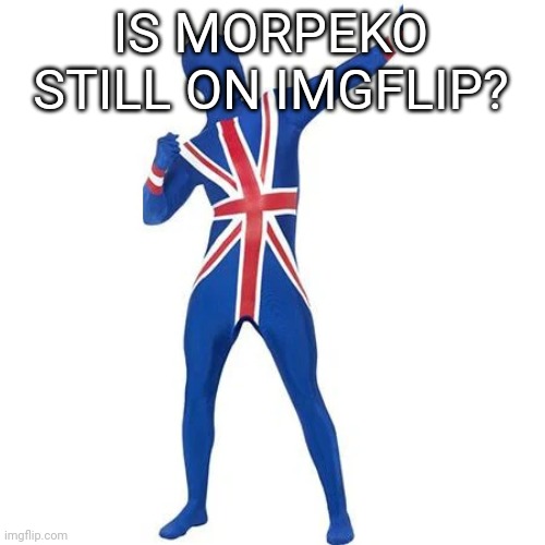 Bri ish man vloggin | IS MORPEKO STILL ON IMGFLIP? | image tagged in bri ish man vloggin | made w/ Imgflip meme maker