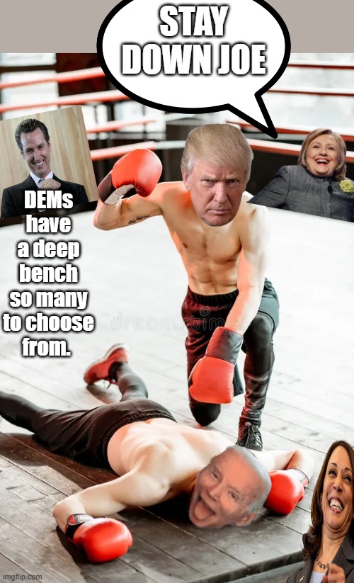 STAY DOWN JOE; DEMs have a deep bench so many to choose from. | made w/ Imgflip meme maker