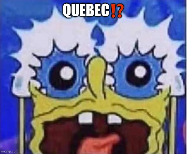 Sponge-Bob | QUEBEC⁉️ | image tagged in sponge | made w/ Imgflip meme maker