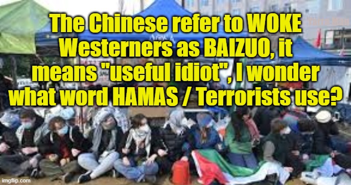 Chinese refer to WOKE Westerners as Baizuo, it means useful idiot, wonder what word HAMAS use? | Yarra Man; The Chinese refer to WOKE Westerners as BAIZUO, it means "useful idiot", I wonder what word HAMAS / Terrorists use? | image tagged in self gratification by proxy,woke,virtue signalling,australian national university,melbourne university,labor n greens | made w/ Imgflip meme maker