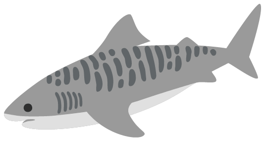 Tiger Shark Meme Template