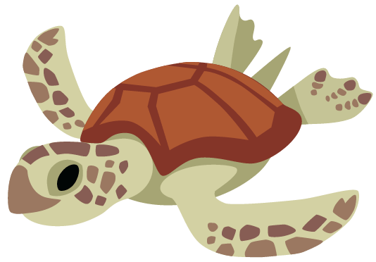 Sea Turtle Meme Template