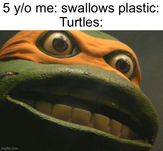 *We are Family! Starts playing* | 5 y/o me: swallows plastic:
Turtles: | image tagged in intense ninja turtle,memes | made w/ Imgflip meme maker