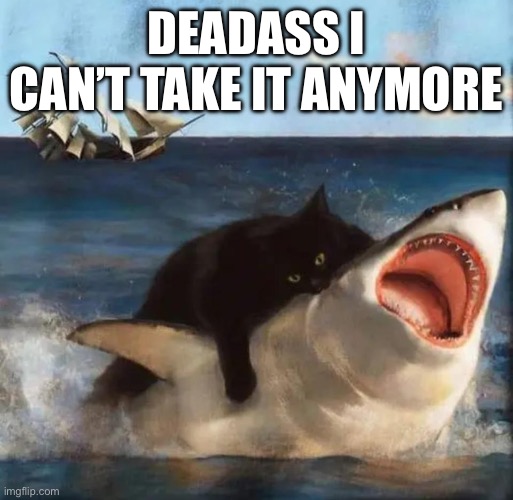 This situation making me wanna identify as kilometers a second | DEADASS I CAN’T TAKE IT ANYMORE | made w/ Imgflip meme maker