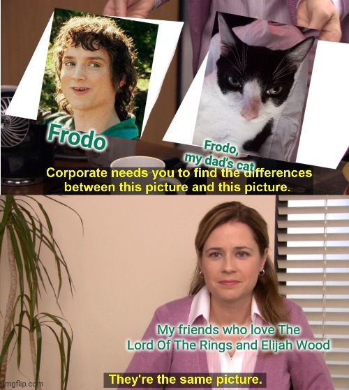 Frodo comparison, they are the same | Frodo; Frodo,
my dad's cat; My friends who love The Lord Of The Rings and Elijah Wood | image tagged in memes,they're the same picture,change my mind,cute cat | made w/ Imgflip meme maker