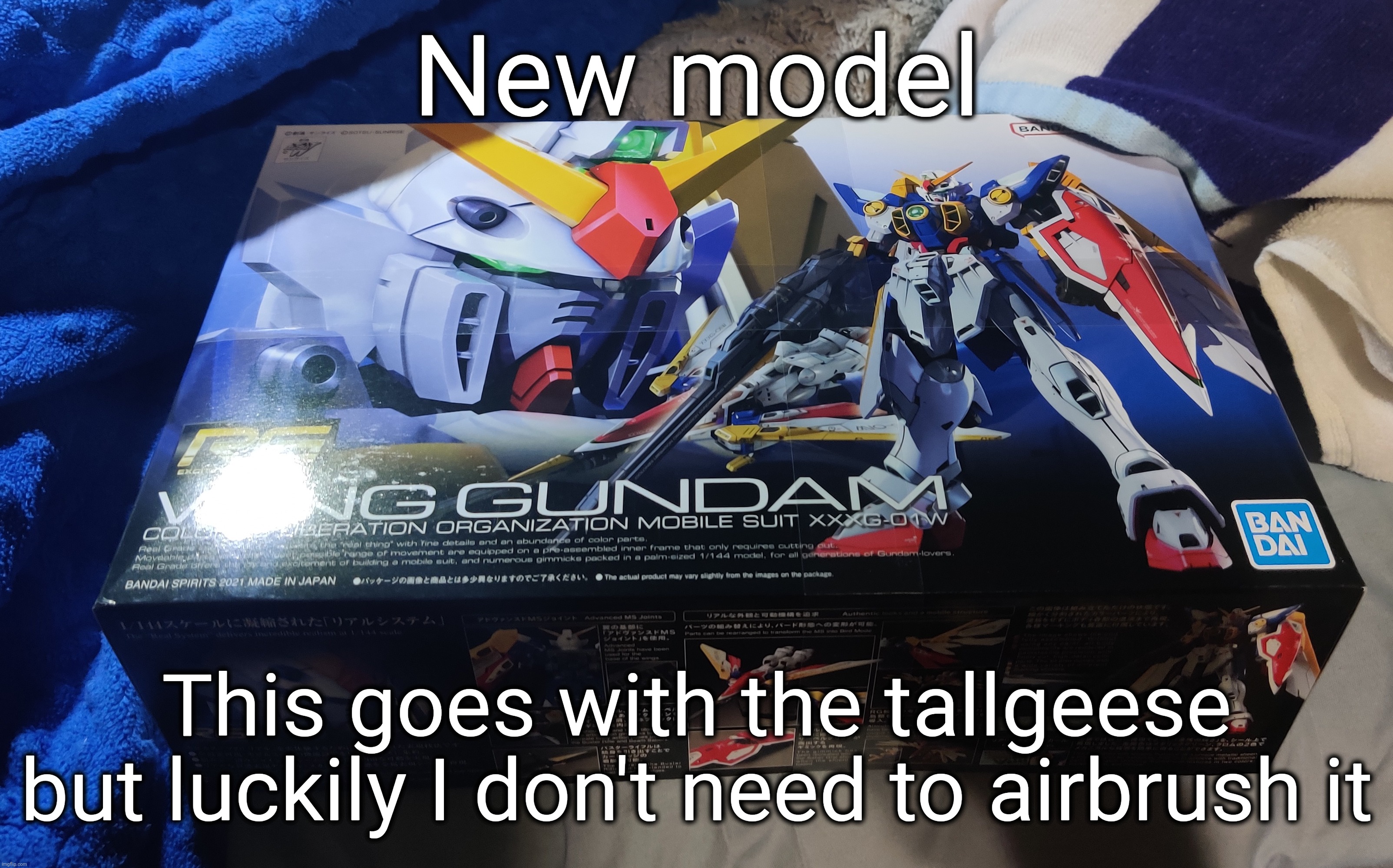 Rg wing Gundam | New model; This goes with the tallgeese but luckily I don't need to airbrush it | made w/ Imgflip meme maker