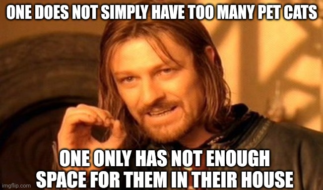 One Does Not Simply Meme | ONE DOES NOT SIMPLY HAVE TOO MANY PET CATS; ONE ONLY HAS NOT ENOUGH SPACE FOR THEM IN THEIR HOUSE | image tagged in memes,one does not simply | made w/ Imgflip meme maker