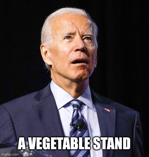 Joe Biden | A VEGETABLE STAND | image tagged in joe biden | made w/ Imgflip meme maker