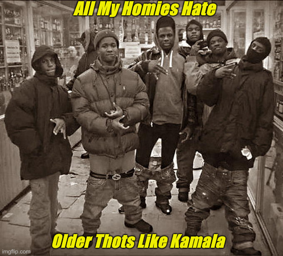 She A Slag | All My Homies Hate; Older Thots Like Kamala | image tagged in all my homies hate,political meme,politics,funny memes,funny | made w/ Imgflip meme maker