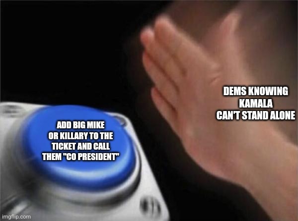 Blank Nut Button Meme | DEMS KNOWING KAMALA CAN'T STAND ALONE; ADD BIG MIKE OR KILLARY TO THE TICKET AND CALL THEM "CO PRESIDENT" | image tagged in memes,blank nut button,funny | made w/ Imgflip meme maker
