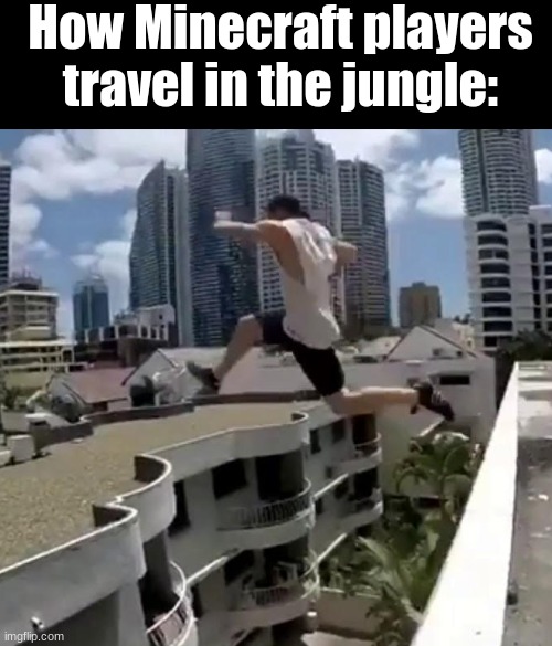 How Minecraft players travel in the jungle: | made w/ Imgflip meme maker