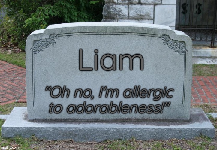 Gravestone | Liam "Oh no, I'm allergic
to adorableness!" | image tagged in gravestone | made w/ Imgflip meme maker