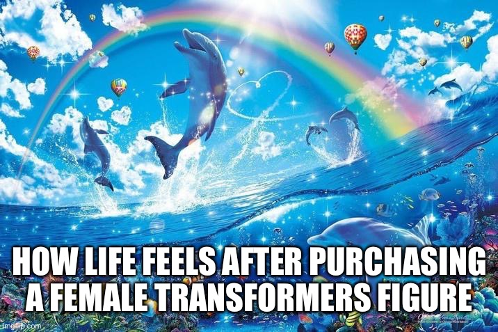 Happy dolphin rainbow | HOW LIFE FEELS AFTER PURCHASING A FEMALE TRANSFORMERS FIGURE | image tagged in happy dolphin rainbow,females | made w/ Imgflip meme maker