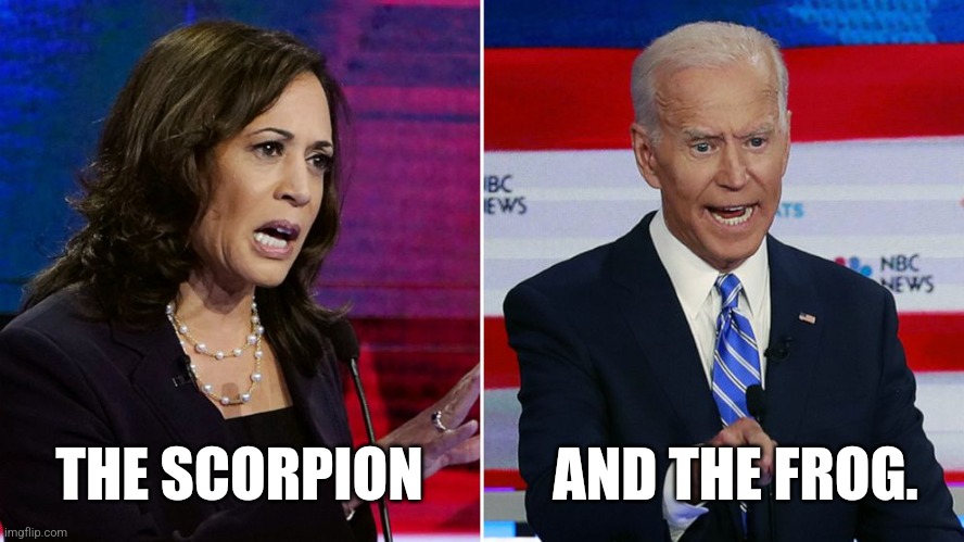 Well this divorce went about as well as expected. | AND THE FROG. THE SCORPION | image tagged in memes,politics,democrats,republicans,joe biden,trending | made w/ Imgflip meme maker