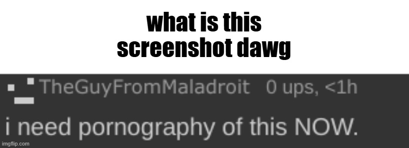 i need pornography of this NOW. | what is this screenshot dawg | image tagged in i need pornography of this now | made w/ Imgflip meme maker