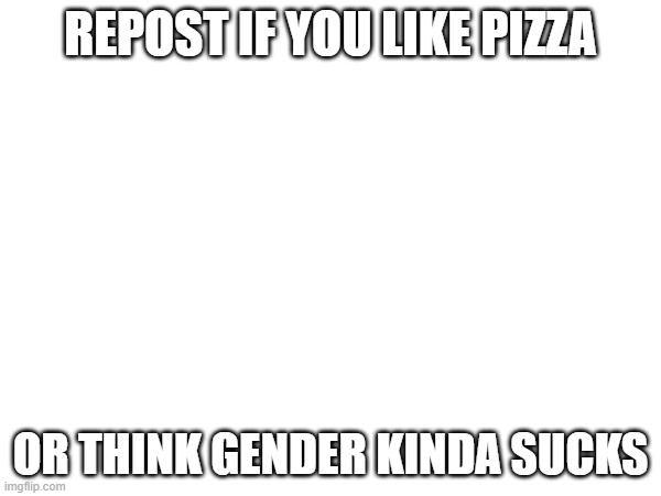 REPOST IF YOU LIKE PIZZA; OR THINK GENDER KINDA SUCKS | made w/ Imgflip meme maker
