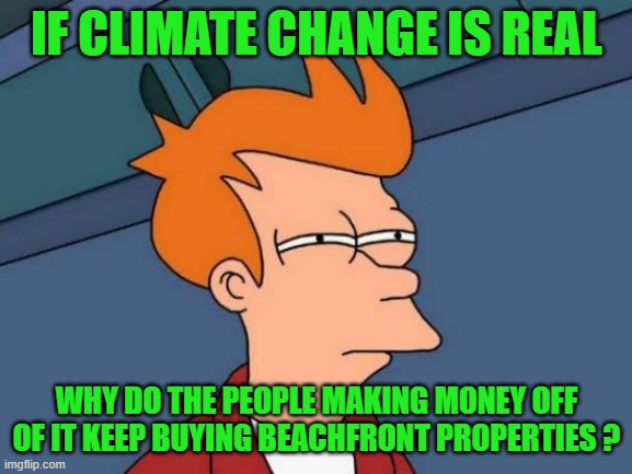 Al Gore and Obama's new beachfront homes | IF CLIMATE CHANGE IS REAL; WHY DO THE PEOPLE MAKING MONEY OFF OF IT KEEP BUYING BEACHFRONT PROPERTIES ? | image tagged in memes,futurama fry,al gore,big mike,chef swimming | made w/ Imgflip meme maker