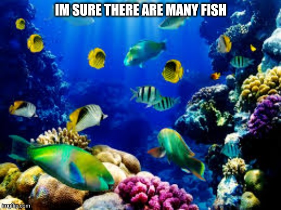 Aquarium fishes | IM SURE THERE ARE MANY FISH | image tagged in aquarium fishes | made w/ Imgflip meme maker