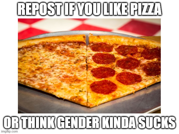 Repost if you like pizza or think gender kinda sucks (Lil_kitten11, I added a pic. I hope that's ok.) | image tagged in pizza,gender,lgbtq,repost | made w/ Imgflip meme maker