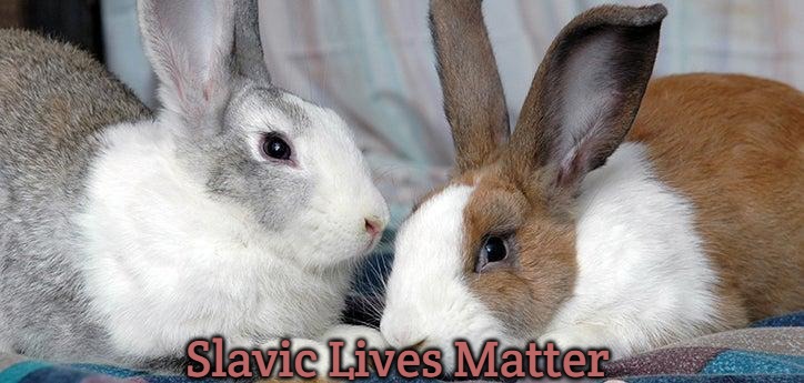 Rabbits | Slavic Lives Matter | image tagged in rabbits,slavic | made w/ Imgflip meme maker