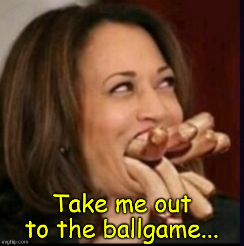 This she's an expert in... Don't know how that qualifies to be President | Take me out to the ballgame... | image tagged in kamala,sucks,big time | made w/ Imgflip meme maker