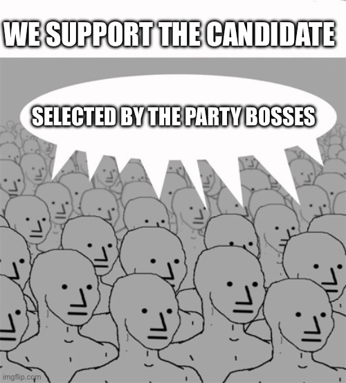 Party bosses | WE SUPPORT THE CANDIDATE; SELECTED BY THE PARTY BOSSES | image tagged in npcprogramscreed | made w/ Imgflip meme maker