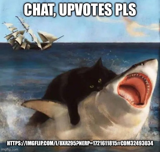 A silly has goofed | CHAT, UPVOTES PLS; HTTPS://IMGFLIP.COM/I/8XRZ95?NERP=1721611815#COM32493034 | made w/ Imgflip meme maker