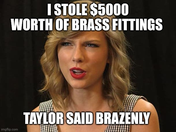 Taylor said brazenly | I STOLE $5000 WORTH OF BRASS FITTINGS; TAYLOR SAID BRAZENLY | image tagged in taylor swiftie | made w/ Imgflip meme maker