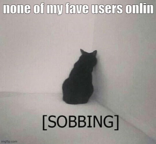 Sobbing cat | none of my fave users onlin | image tagged in sobbing cat | made w/ Imgflip meme maker