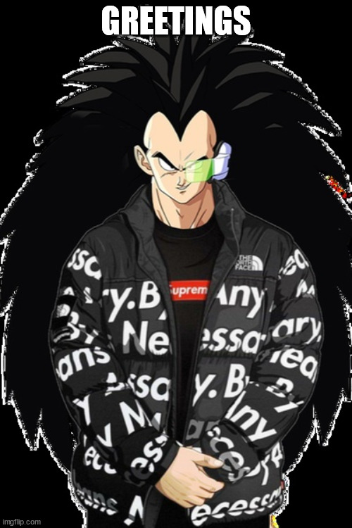 drip raditz | GREETINGS | image tagged in drip raditz | made w/ Imgflip meme maker