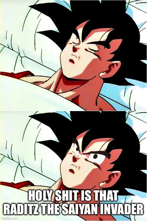 goku sleeping wake up | HOLY SHIT IS THAT RADITZ THE SAIYAN INVADER | image tagged in goku sleeping wake up | made w/ Imgflip meme maker