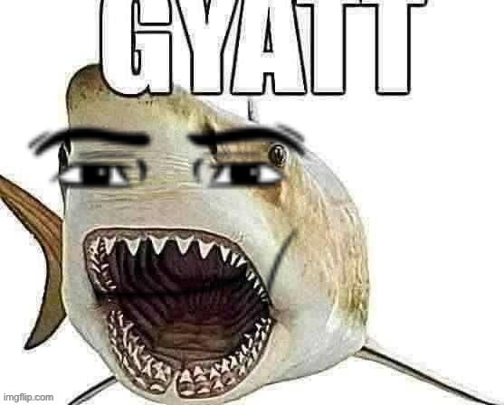Shark gyatt | image tagged in shark gyatt | made w/ Imgflip meme maker