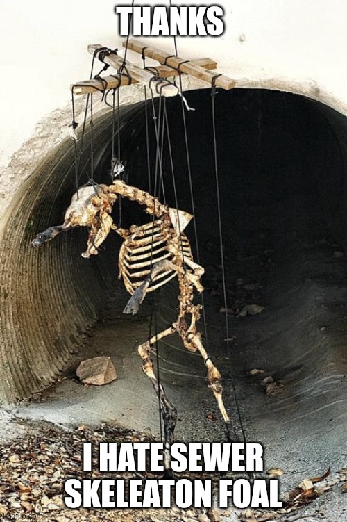 Thanks i hate sewer horse | THANKS; I HATE SEWER SKELEATON FOAL | image tagged in animal skeleton puppet,sewer,meme,apresentou | made w/ Imgflip meme maker